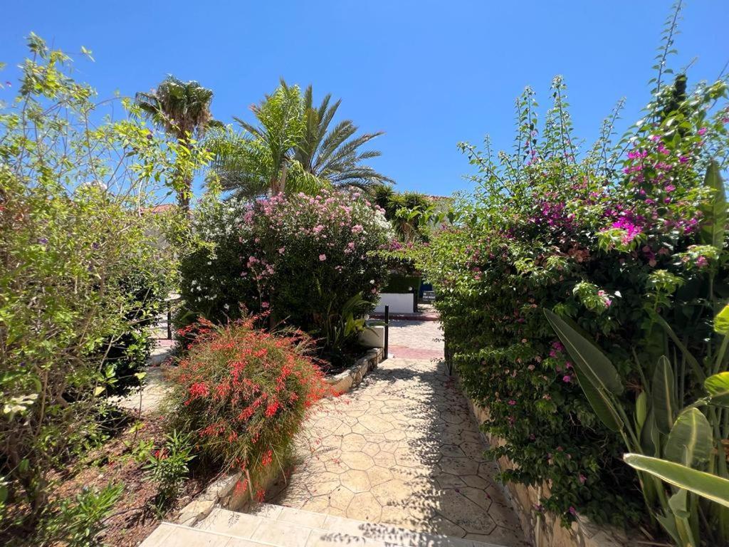 Villa Tamara With Private Pool Peyia Exterior photo